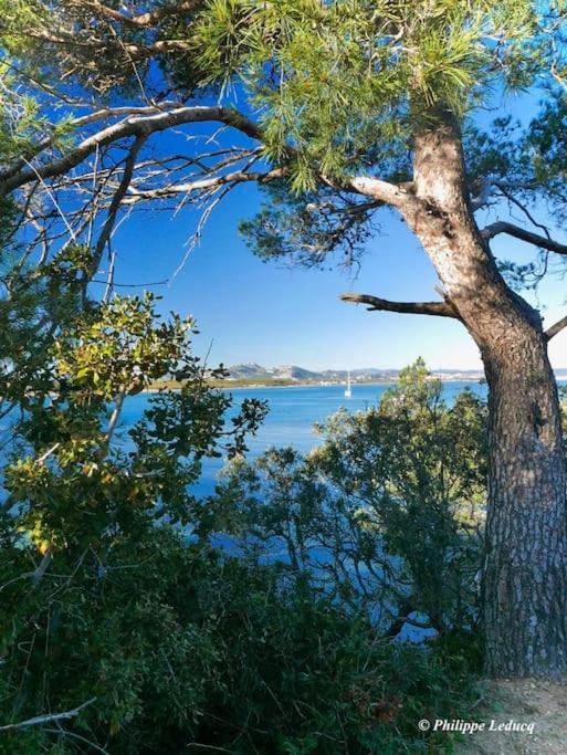 T2: 45M2 :4 Places :Independant Dans Villa Hyères Eksteriør billede