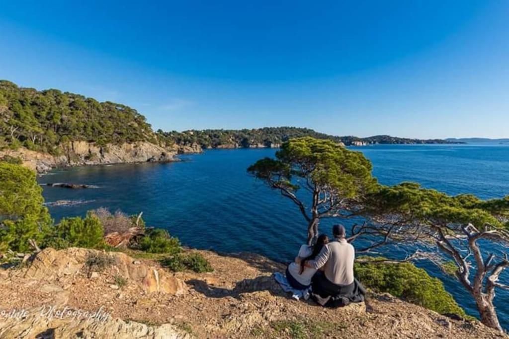 T2: 45M2 :4 Places :Independant Dans Villa Hyères Eksteriør billede