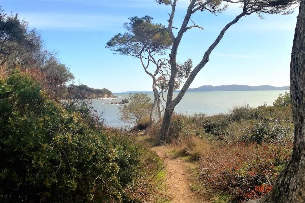 T2: 45M2 :4 Places :Independant Dans Villa Hyères Eksteriør billede