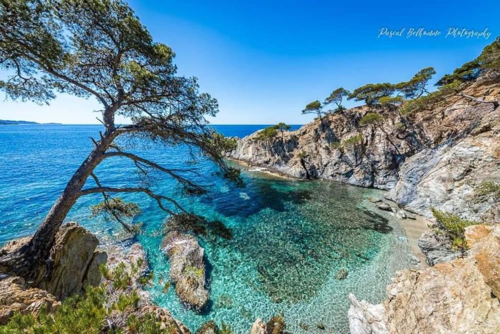 T2: 45M2 :4 Places :Independant Dans Villa Hyères Eksteriør billede