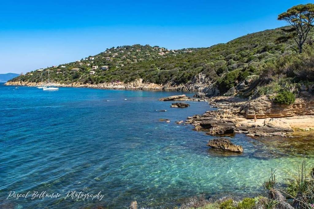 T2: 45M2 :4 Places :Independant Dans Villa Hyères Eksteriør billede