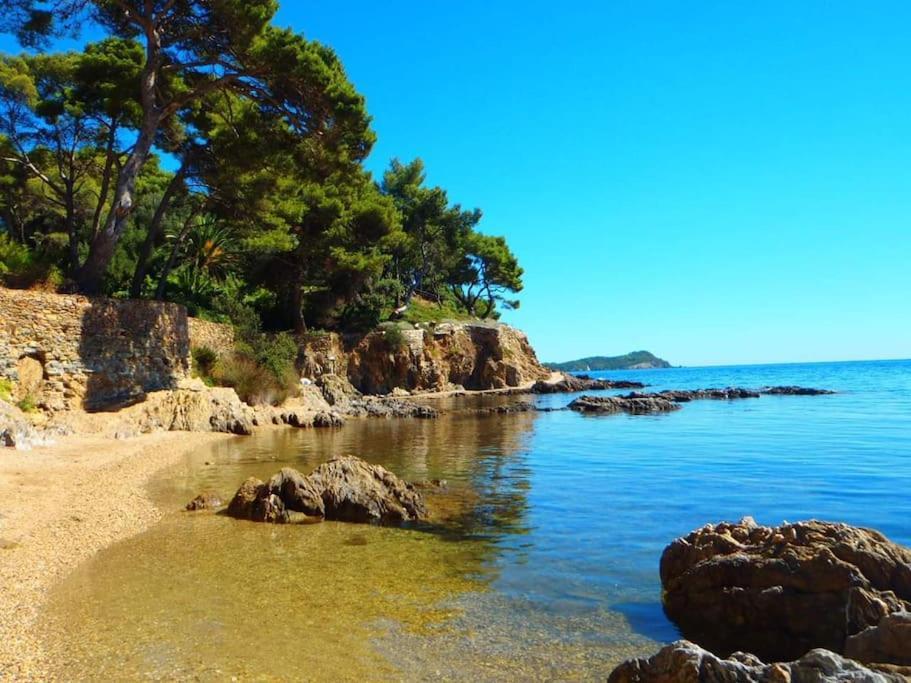 T2: 45M2 :4 Places :Independant Dans Villa Hyères Eksteriør billede